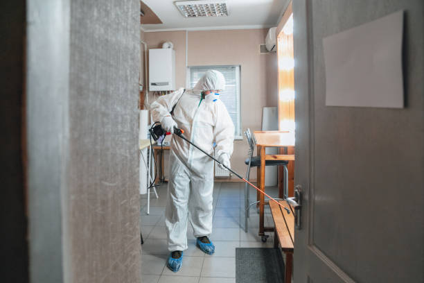 Environmental Consulting for Mold Prevention in Villa Hills, KY